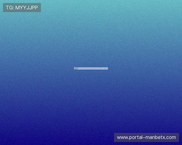 66体育用户体验优化：界面设计与操作流程详解