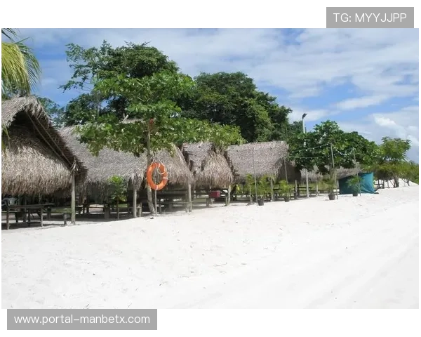 如何下载安装manbetx app 3.0版本确保安全稳定的使用体验